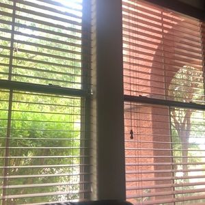 Meet your Posher, Susie